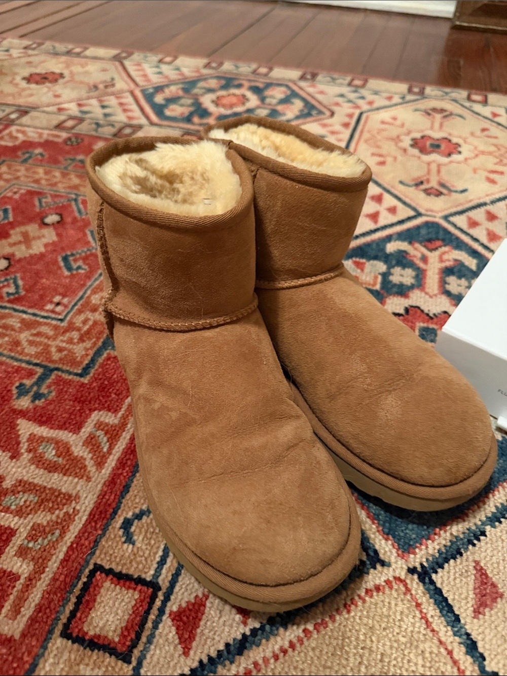 UGG Chestnut Suede Short Pull-On Boots + Fluff Care Kit